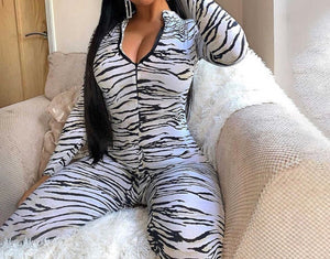 Zebra cat suit
