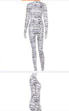 Load image into Gallery viewer, Zebra cat suit
