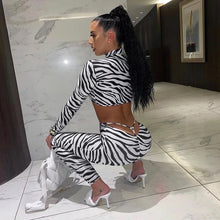 Load image into Gallery viewer, Issa zebra
