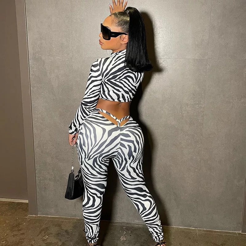 Issa zebra